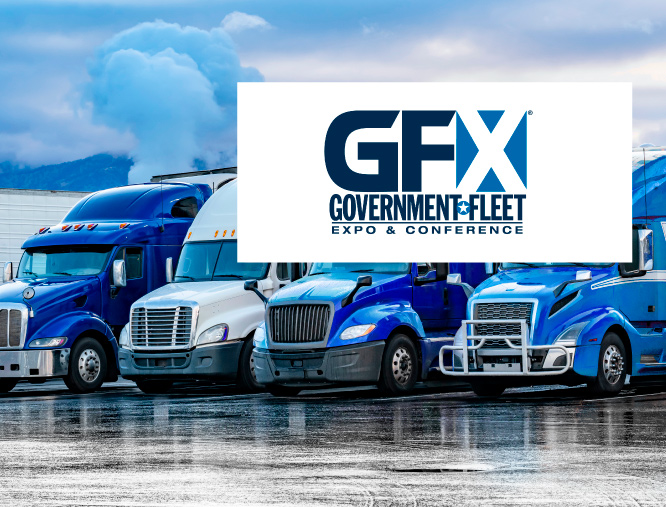 FERIA USA GFX